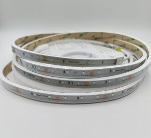 LED лента RISHANG 60-2835-12V-IP68 5,5W 177Lm Green 5м (RNA060TA-B-G)
