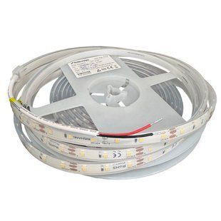 LED лента RISHANG 60-2835-12V-IP68 5,5W 177Lm Green 5м (RNA060TA-B-G)